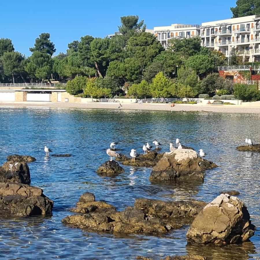 Vila Tena Rovinj Croatia Buitenkant foto