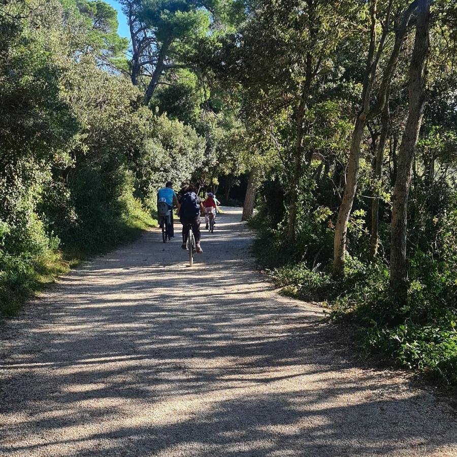 Vila Tena Rovinj Croatia Buitenkant foto