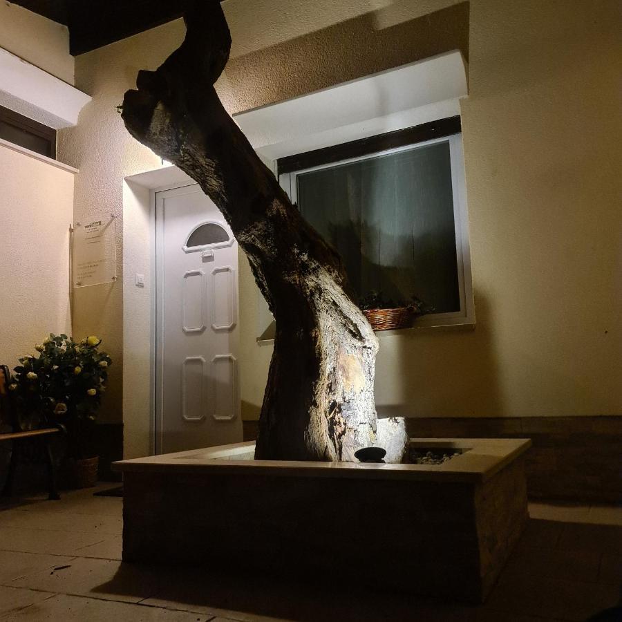 Vila Tena Rovinj Croatia Buitenkant foto